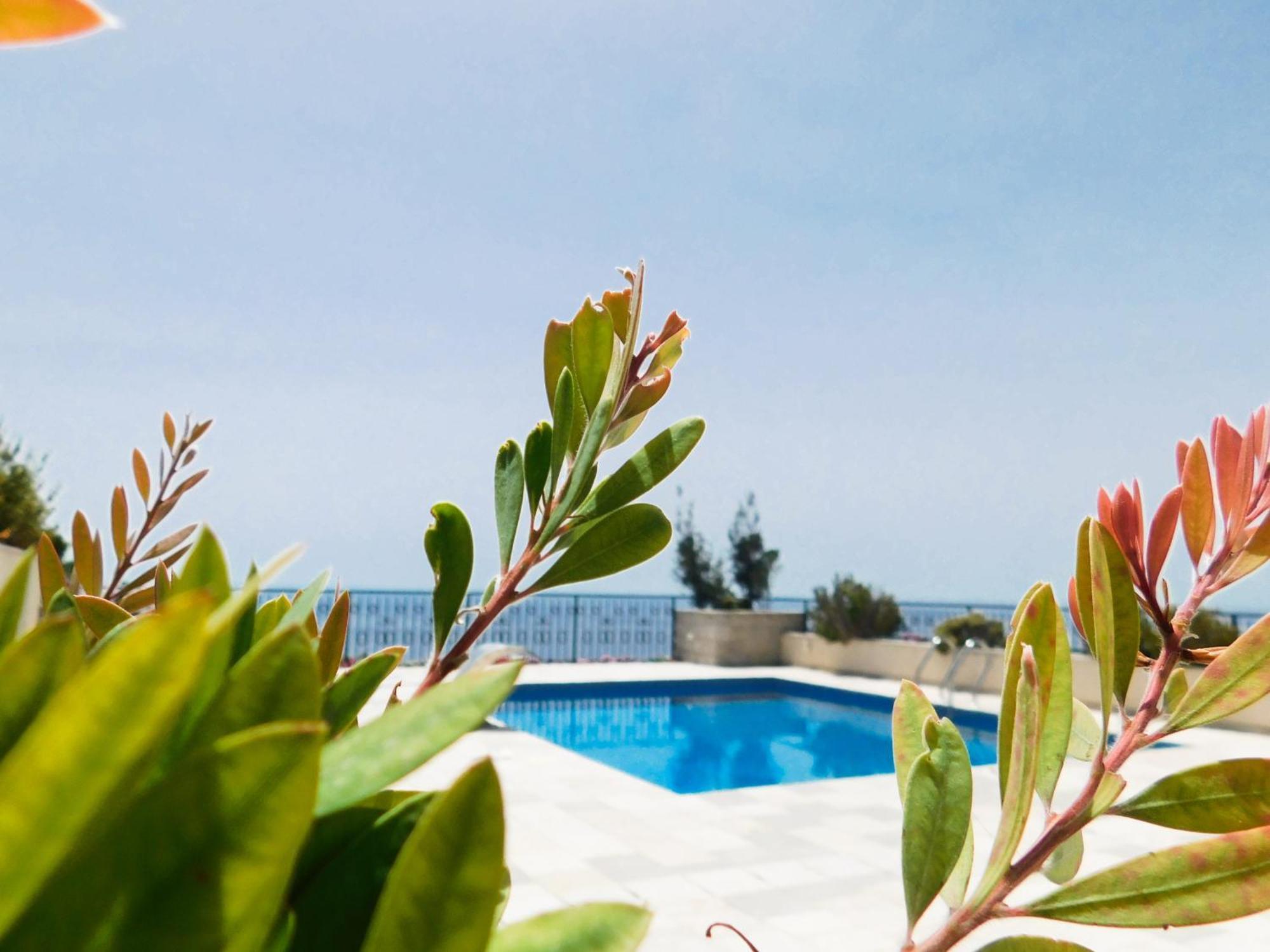 Casa Oliva A With Heating Pool Villa *